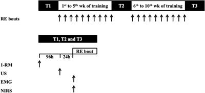 The Association Between Muscle Deoxygenation and Muscle Hypertrophy to Blood Flow Restricted Training Performed at High and Low Loads